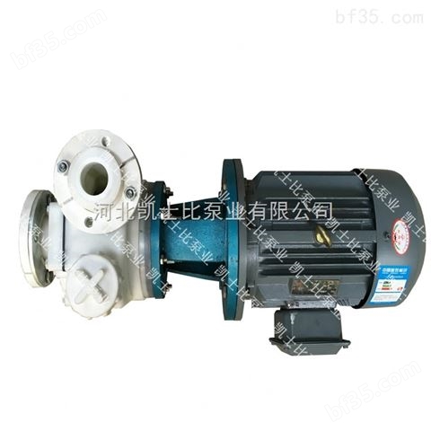 凯士比40FSB-15衬氟塑料合金耐腐泵输送任意浓度酸碱介质泵耐高温水泵