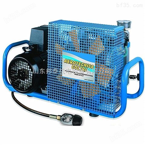 国产呼吸器电动充气泵