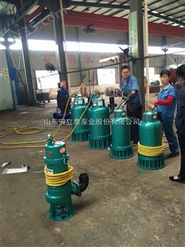 立式污水提升泵专业生产批量现货直发