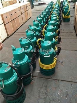 防爆潜水泵污水泵专业生产制造实力派