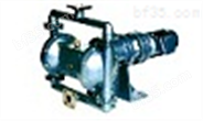 供应DBY型电动隔膜泵