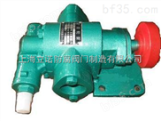 WCB-50不锈钢输油泵/齿轮油泵                 