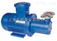 磁力漩涡泵CWB20-40_1                           