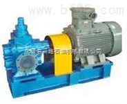 YCB30/0.6型圆弧齿轮泵/齿轮油泵