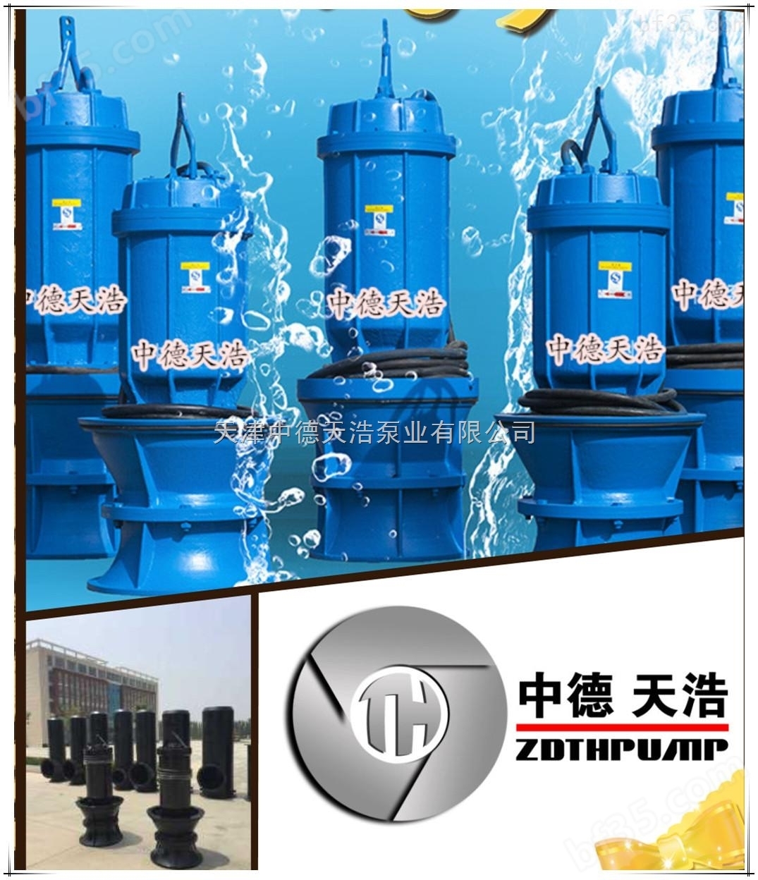 天津潜水轴流泵品牌|大型潜水轴流泵厂家安装