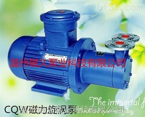 CQW32-30旋涡磁力泵生产厂家