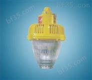 BPC8760-L45 LED防爆平台灯