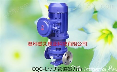 立式管道型CQG-L磁力泵