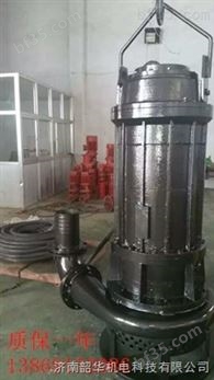 耐磨搅拌渣浆泵,灰渣泵,三相电动潜水泵