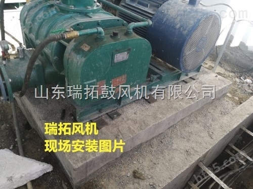 江西省工艺精巧的污水处理罗茨风机厂家报价